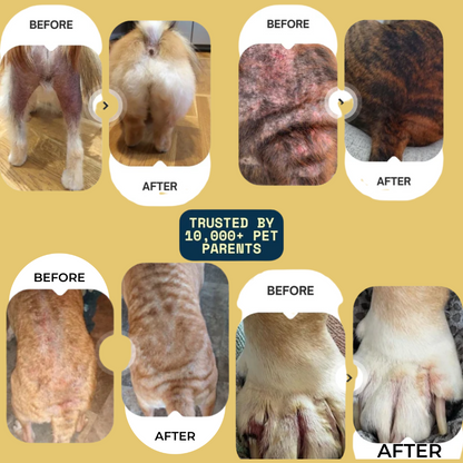 Lexmiraz Vet-Approved Skin Relief Spray