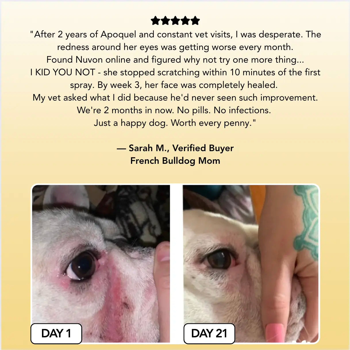 Lexmiraz Vet-Approved Skin Relief Spray
