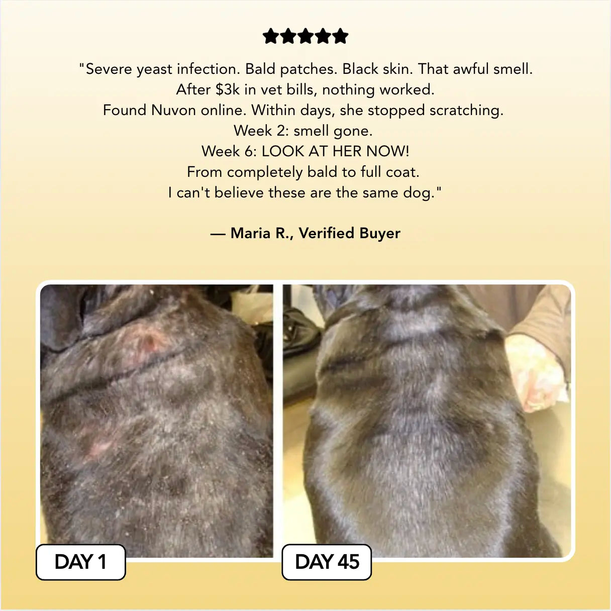 Lexmiraz Vet-Approved Skin Relief Spray