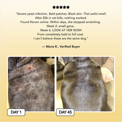 Lexmiraz Vet-Approved Skin Relief Spray